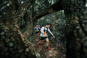 BIB: 
                            <button type="button" onclick="openModal(25392161)" class="btn btn-primary btn-sm float-right btn-popup" data-toggle="modal" data-target=".modal-high-quality">
                        <i class="fas fa-shopping-cart"></i> Add to Cart
                    </button>
                                            <button type="button" onclick="isThisMe(25392161, true)" class="btn btn-success btn-sm float-right btn-popup btn-isme hidden" data-toggle="tooltip" data-placement="bottom" title="นี่คือรูปของคุณใช่ไหม คลิกที่นี่เพื่อเอาเข้าอัลบั้ม">
                        <i class="fas fa-plus"></i> Add to album
                    </button>
                    <button type="button" onclick="isThisMe(25392161, false)" class="btn btn-warning btn-sm float-right btn-popup btn-isnotme hidden">
                        <i class="fas fa-ban"></i> Remove from album
                    </button>